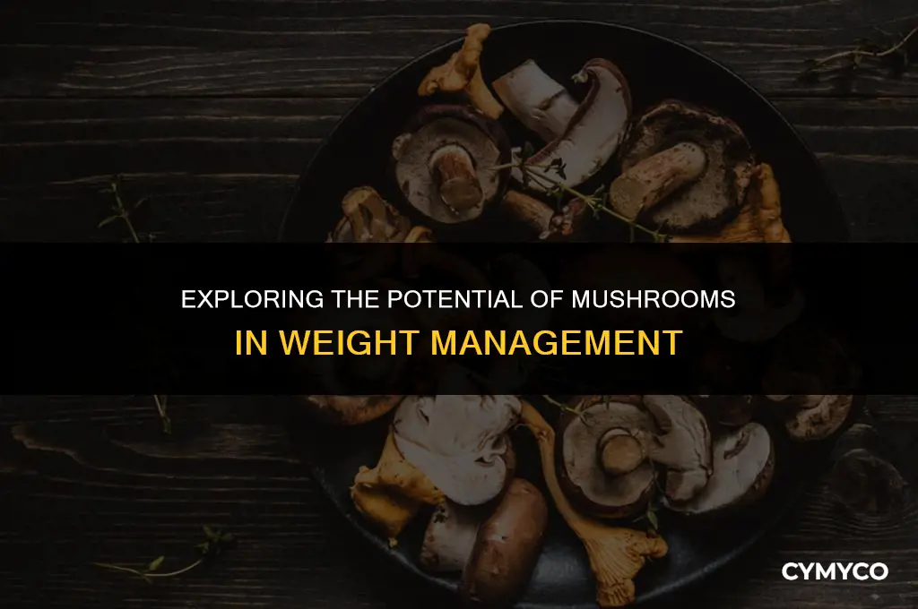 can mushrooms help lose weight