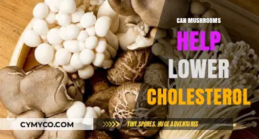 Exploring the Potential of Mushrooms in Lowering Cholesterol Levels