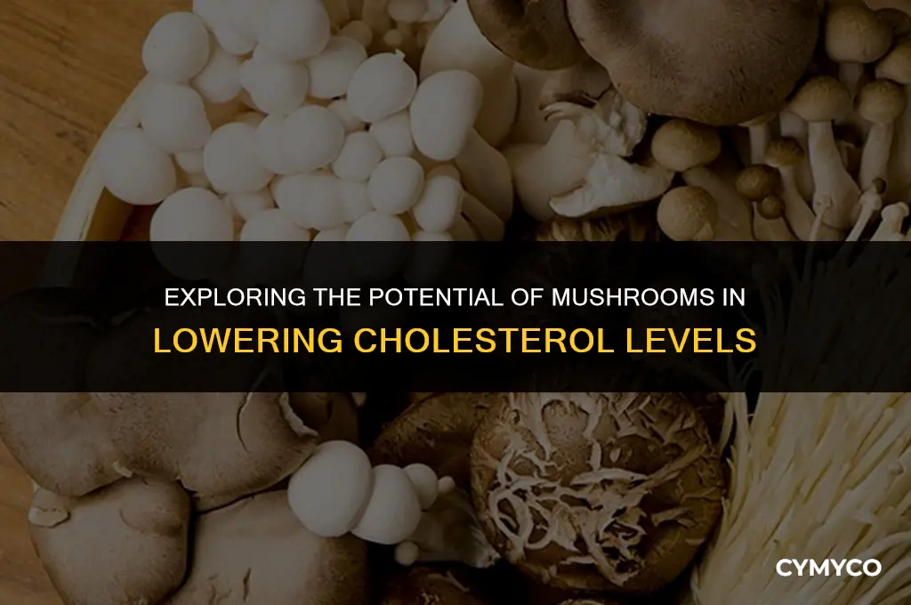 can mushrooms help lower cholesterol