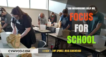 Unlocking Focus: The Surprising Benefits of Mushrooms for School Performance
