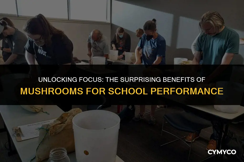 can mushrooms help me focus for school