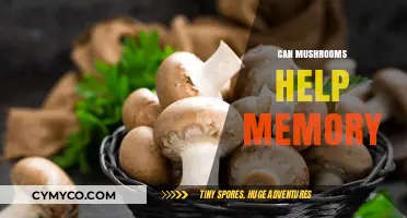 Exploring the Potential Memory Benefits of Mushrooms