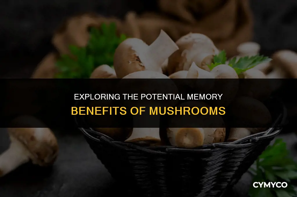 can mushrooms help memory