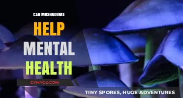 Exploring the Potential Mental Health Benefits of Mushrooms