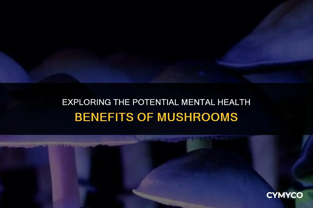 can mushrooms help mental health