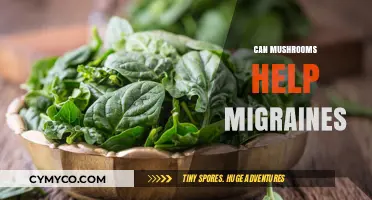 Exploring the Potential of Mushrooms in Migraine Relief