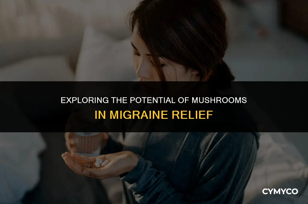 can mushrooms help migraines