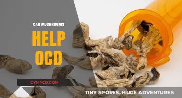 Exploring the Potential of Mushrooms in Alleviating OCD Symptoms