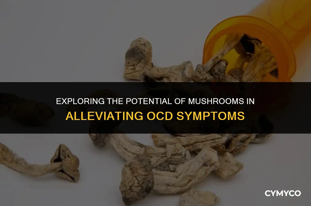 can mushrooms help ocd