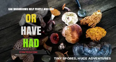 Exploring the Therapeutic Potential of Mushrooms for Health and Healing