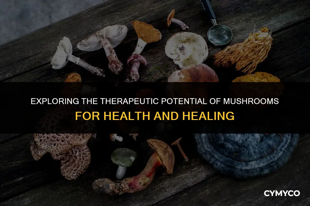 can mushrooms help people who had or have had