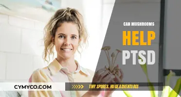 Exploring the Potential of Mushrooms in Alleviating PTSD Symptoms