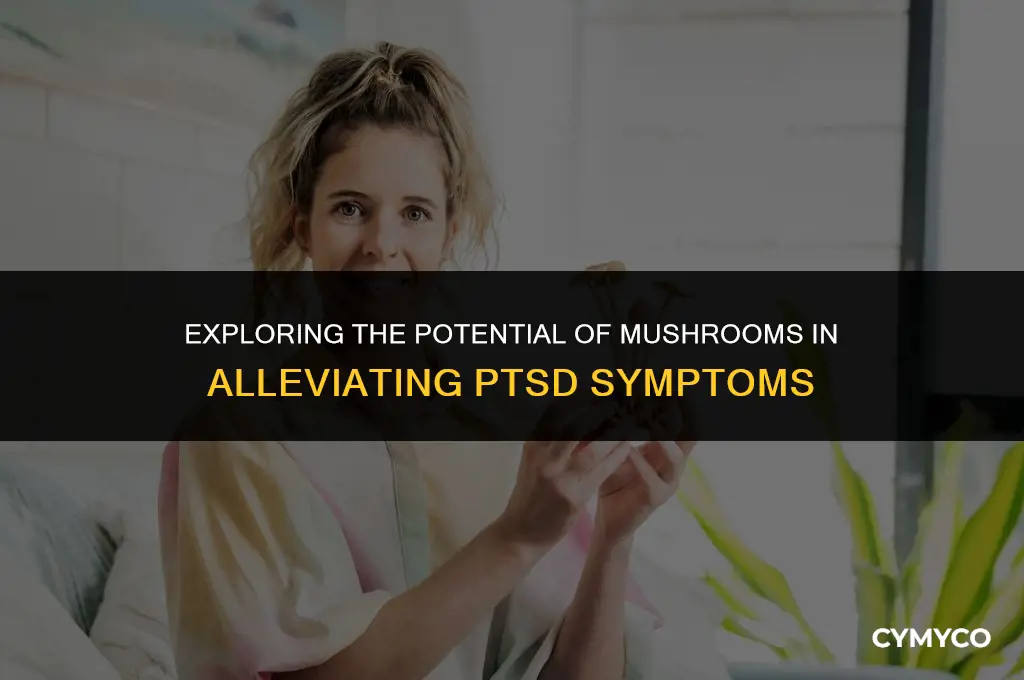 can mushrooms help ptsd
