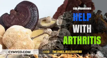 Exploring the Potential of Mushrooms in Alleviating Arthritis Symptoms