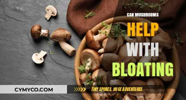 Natural Relief: Exploring Mushrooms' Potential to Ease Bloating