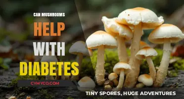 Exploring the Potential of Mushrooms in Managing Diabetes