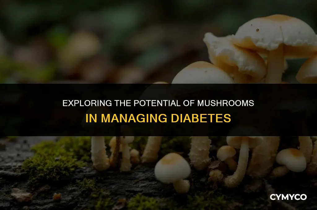 can mushrooms help with diabetes