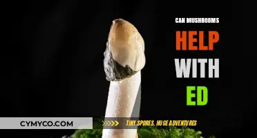 Exploring the Potential Benefits of Mushrooms for Erectile Dysfunction