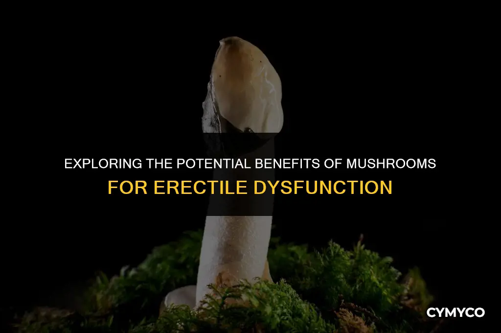 can mushrooms help with ed