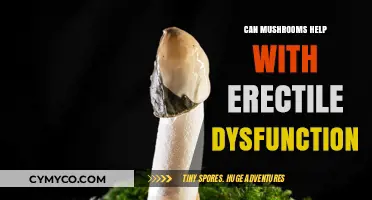 Exploring the Potential of Mushrooms in Managing Erectile Dysfunction