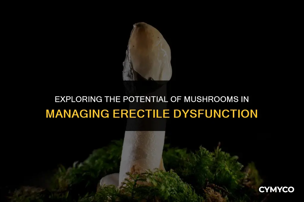 can mushrooms help with erectile dysfunction