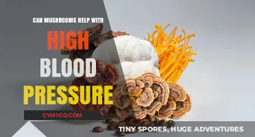 Exploring the Potential Benefits of Mushrooms for High Blood Pressure Management