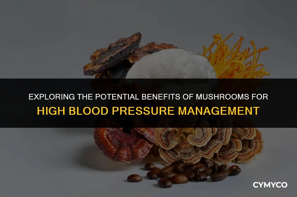 can mushrooms help with high blood pressure