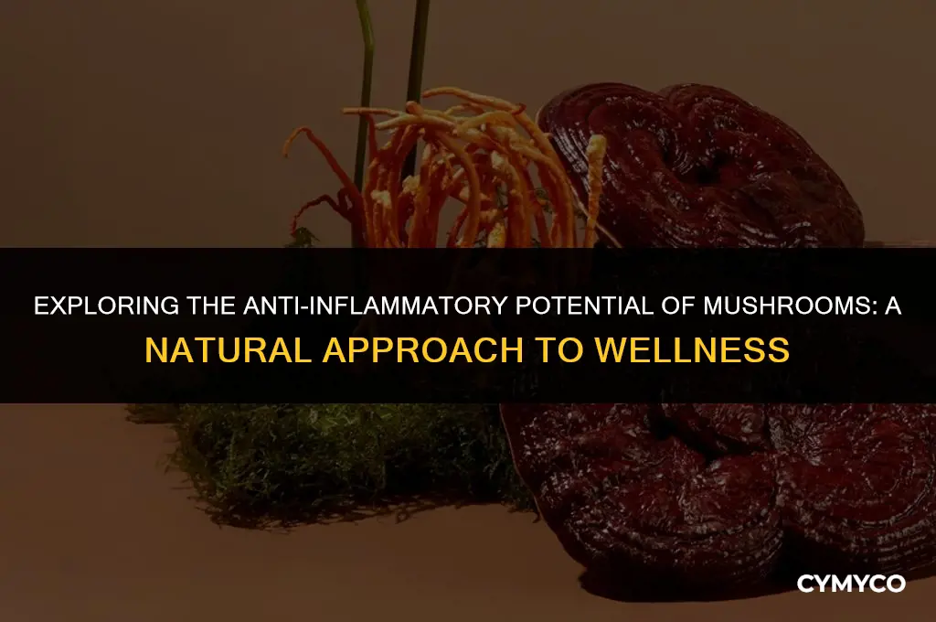 can mushrooms help with inflammation