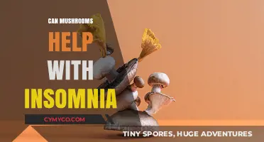 Exploring the Potential of Mushrooms in Combating Insomnia