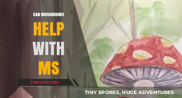 Exploring the Potential Benefits of Mushrooms for Multiple Sclerosis