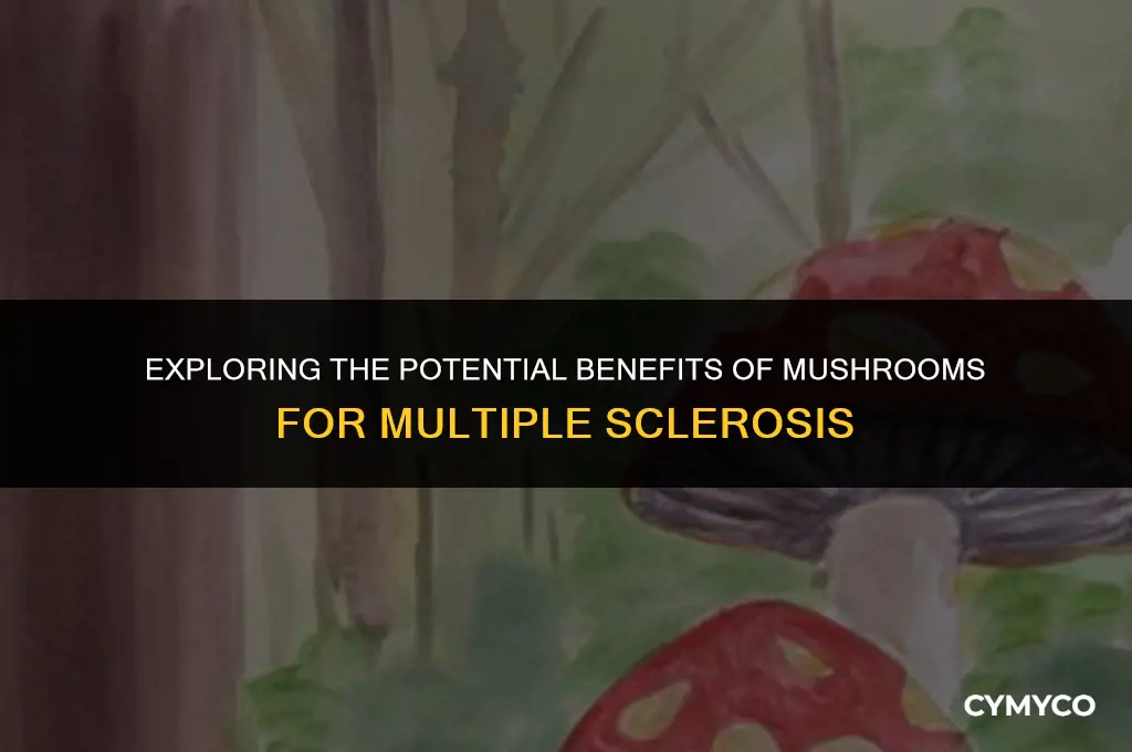can mushrooms help with ms