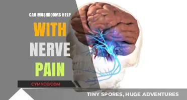 Exploring the Potential of Mushrooms in Alleviating Nerve Pain