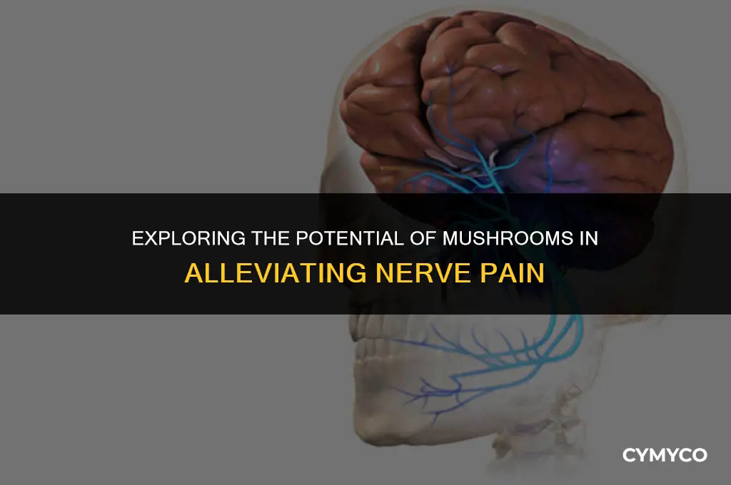 can mushrooms help with nerve pain