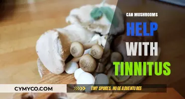 Exploring Nature's Remedies: Can Mushrooms Alleviate Tinnitus Symptoms?