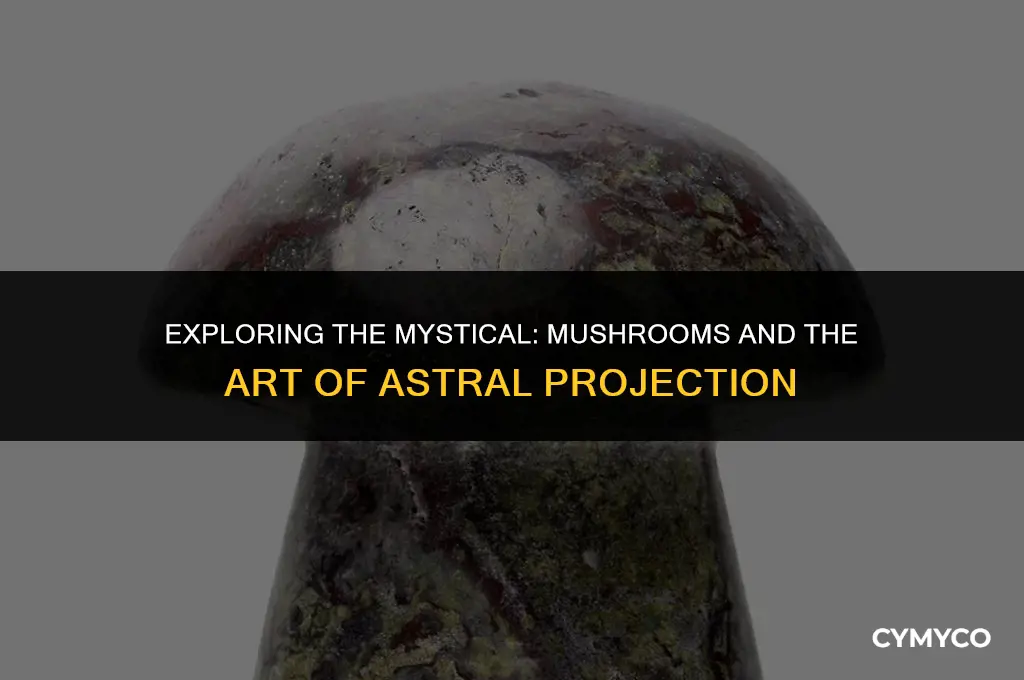 can mushrooms help you astral project