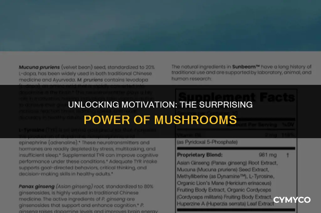 can mushrooms help you be more motivated