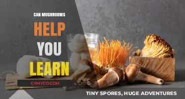 Unlocking Cognitive Potential: The Surprising Role of Mushrooms in Learning