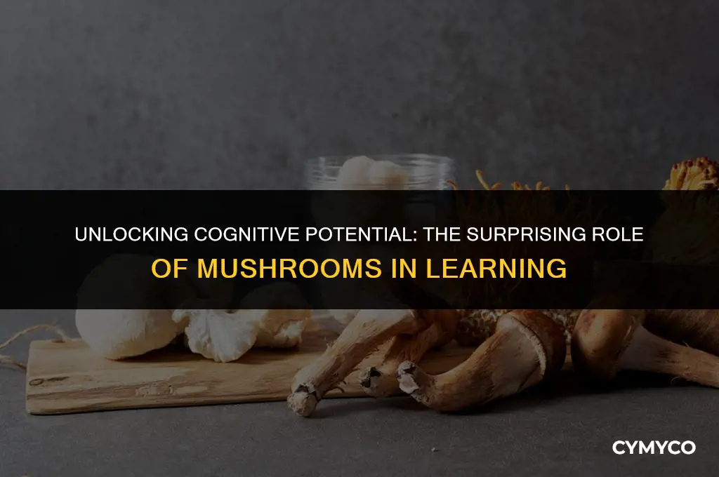 can mushrooms help you learn