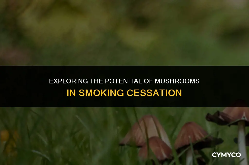 can mushrooms help you quit smoking