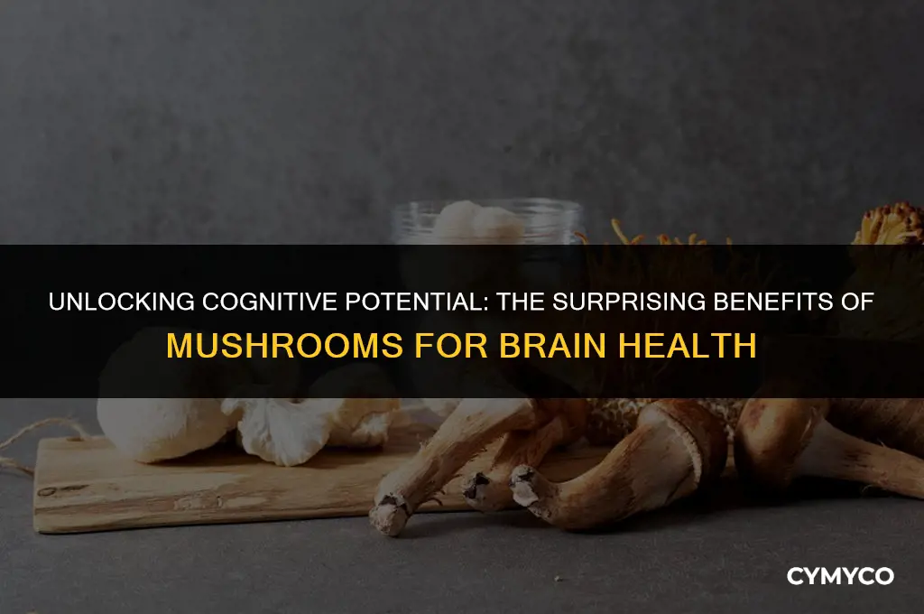 can mushrooms help your brain