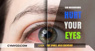 Exploring the Risks: Can Mushrooms Hurt Your Eyes?