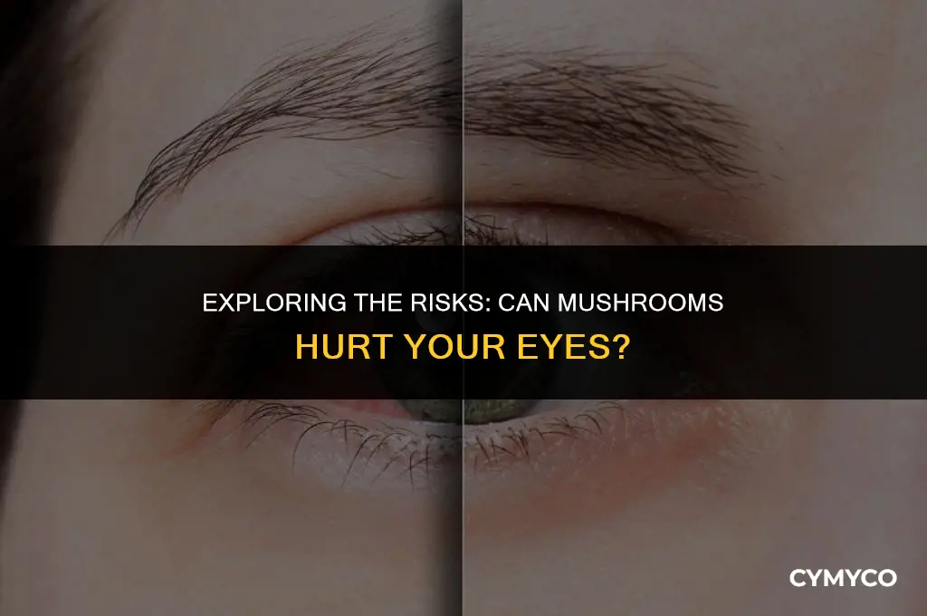 can mushrooms hurt your eyes