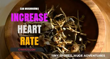 Exploring the Effects of Mushrooms on Heart Rate: A Comprehensive Guide
