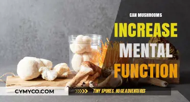 Exploring the Mind-Enhancing Potential of Mushrooms: A Comprehensive Guide