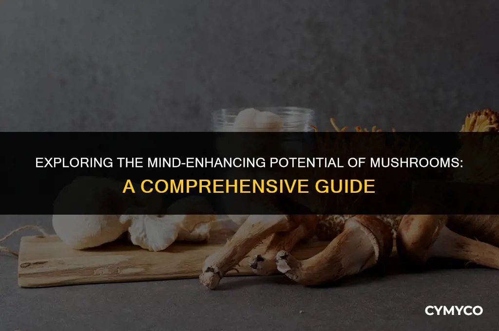 can mushrooms increase mental function