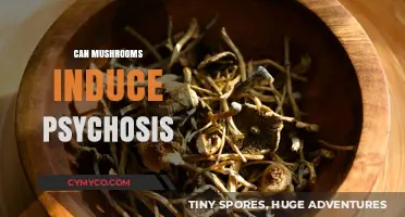 Exploring the Link: Can Mushrooms Trigger Psychosis?