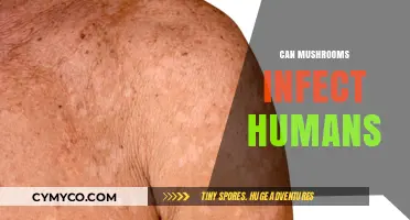 Exploring the Risks: Can Mushrooms Infect Humans?