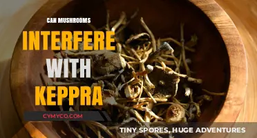 Exploring the Interaction: Mushrooms and Keppra