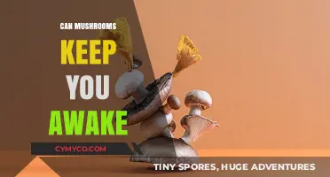 Exploring the Insomniac's Ally: Do Mushrooms Keep You Awake?