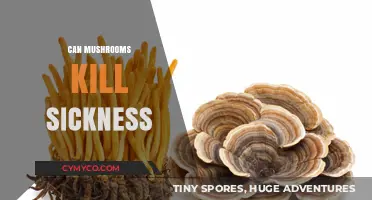 Exploring the Healing Potential: Can Mushrooms Combat Illness?